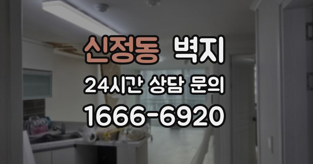 신정동 벽지