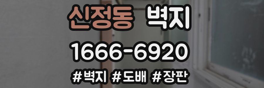 신정동 벽지