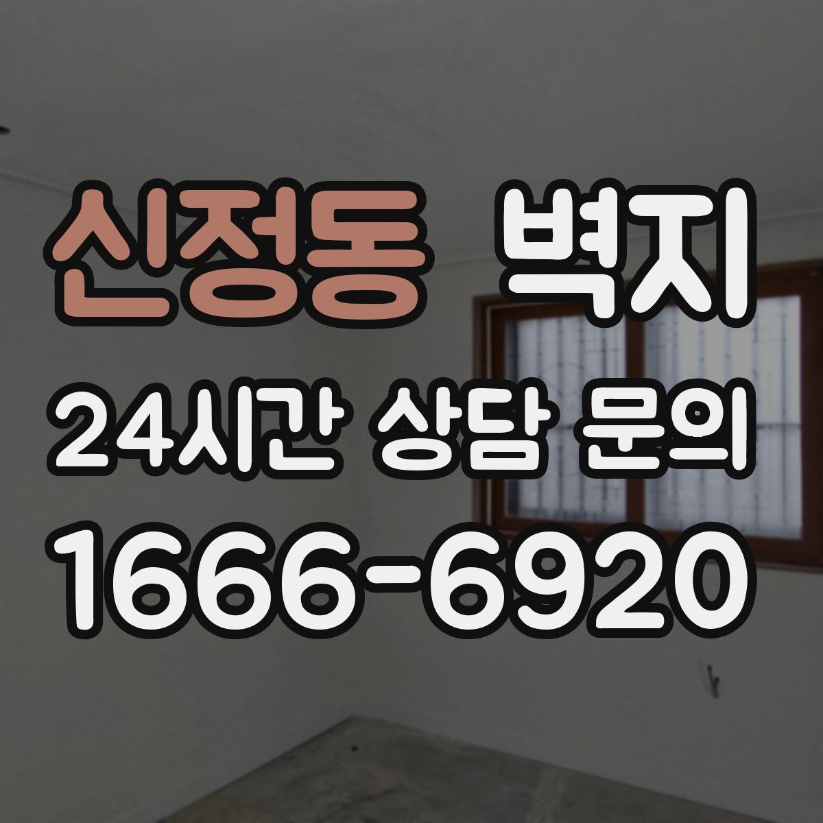 신정동 벽지