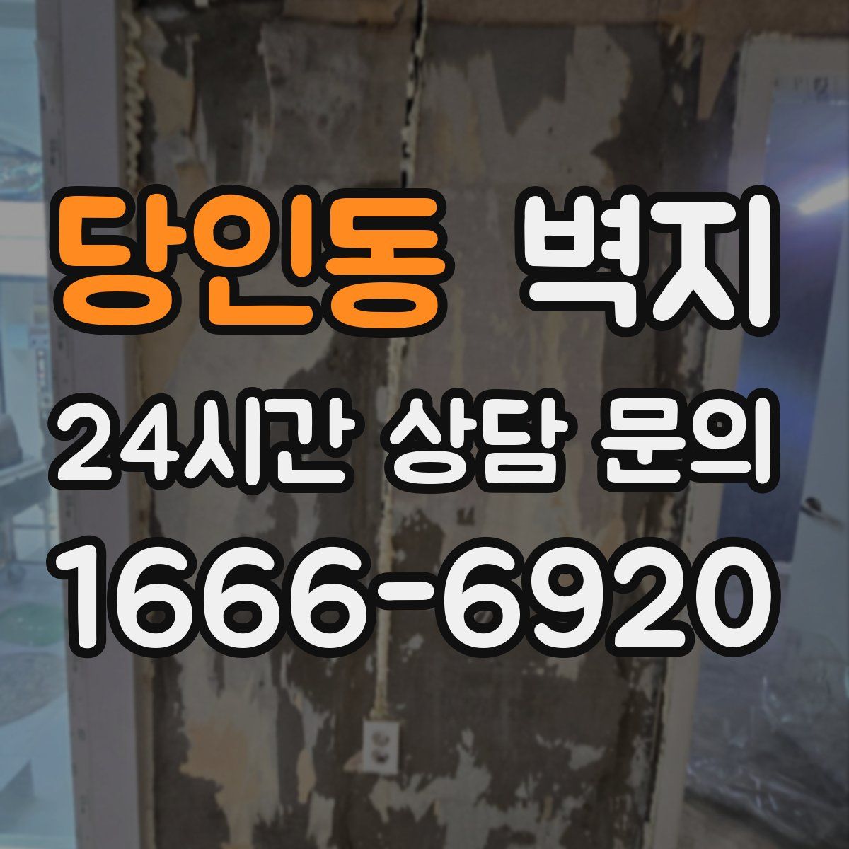 당인동 벽지