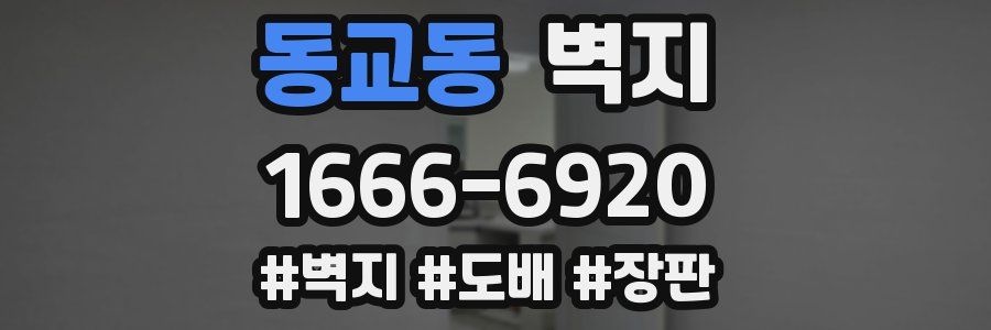 동교동 벽지