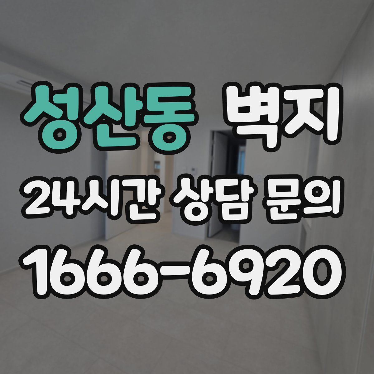 성산동 벽지