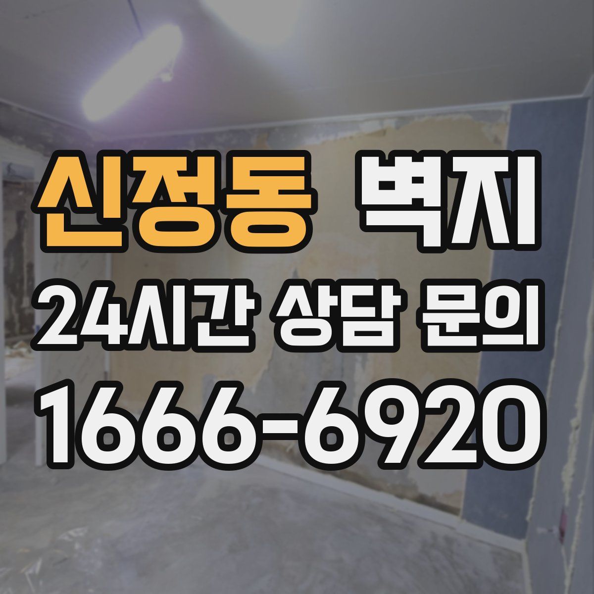신정동 벽지