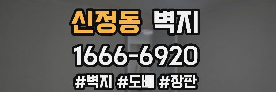 신정동 벽지