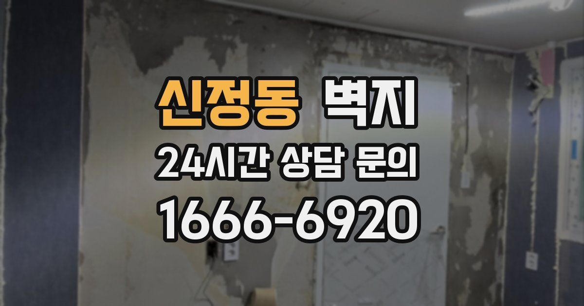 신정동 벽지