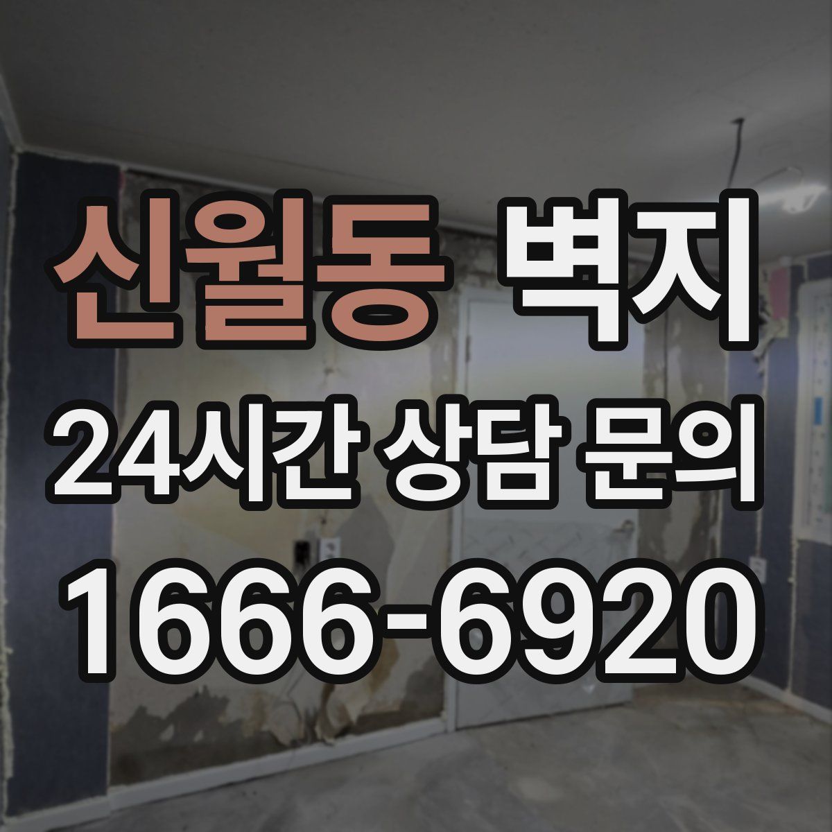 신월동 벽지