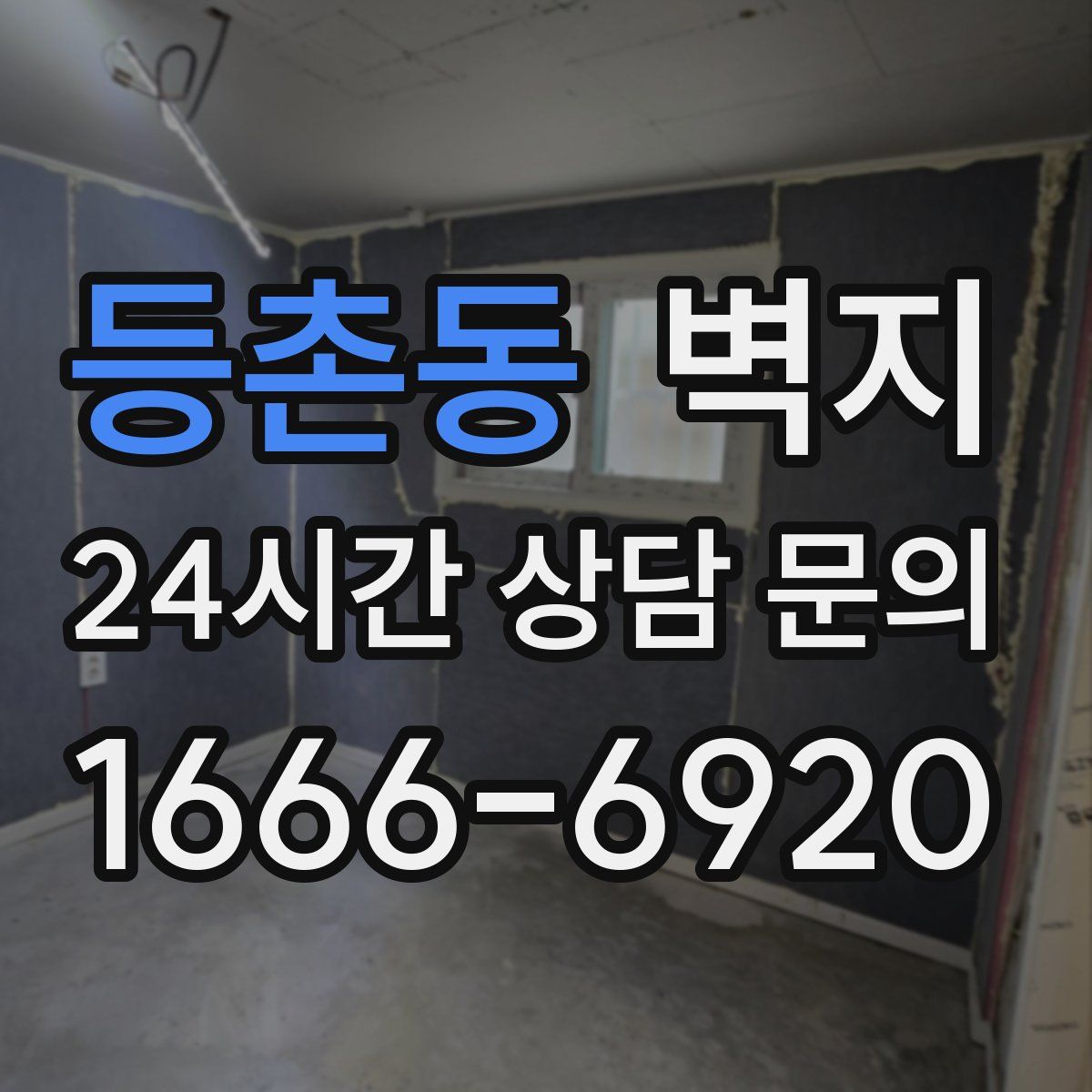 등촌동 벽지