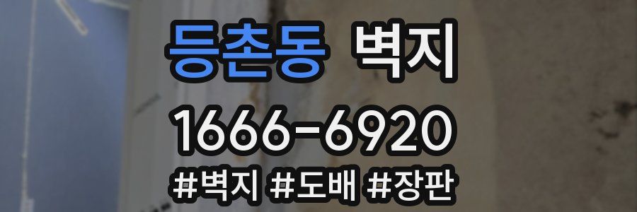 등촌동 벽지