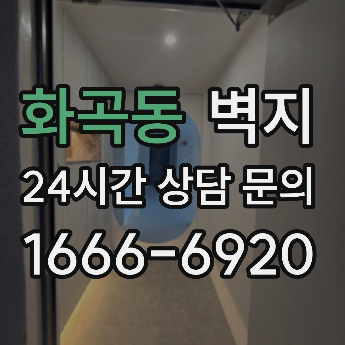화곡동 벽지