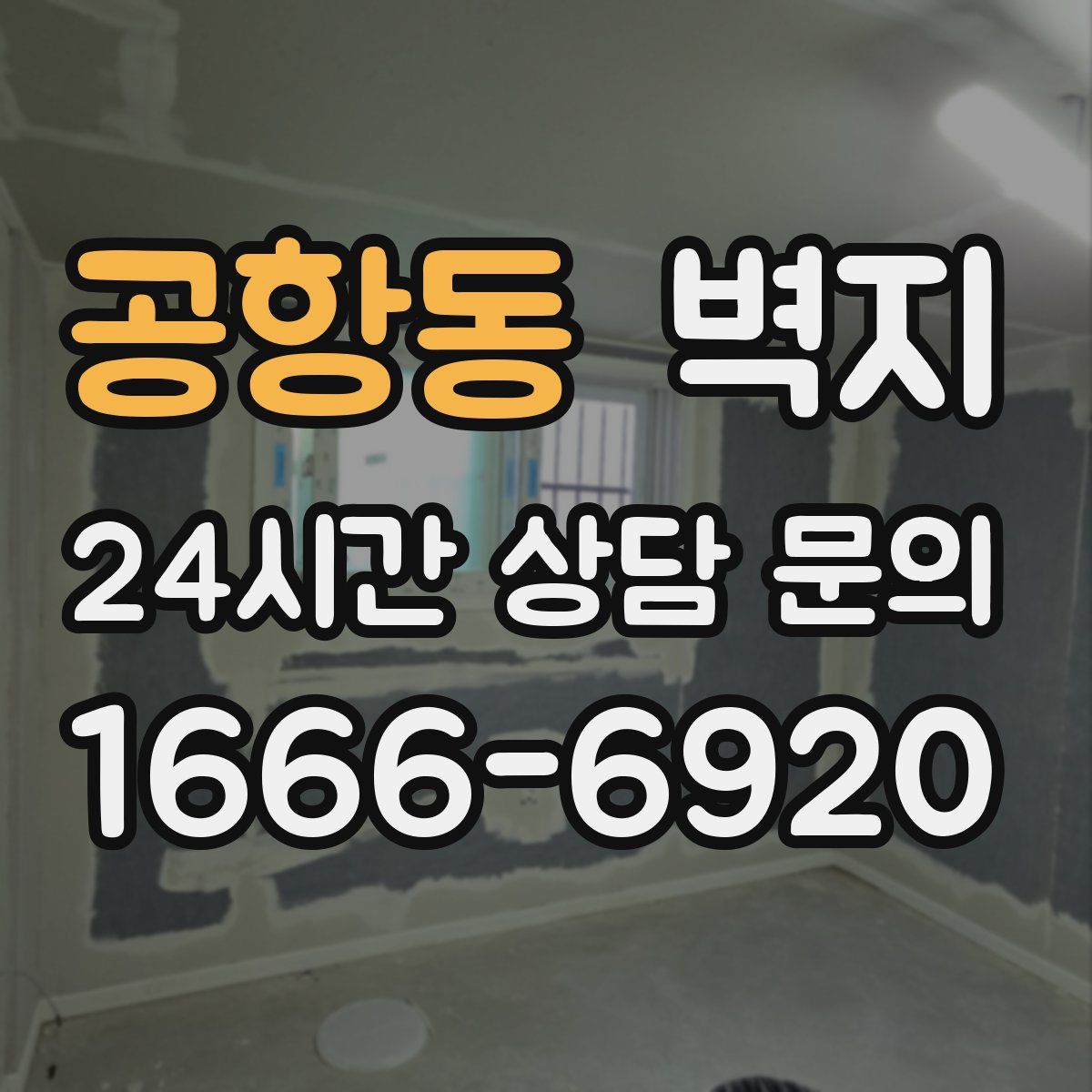 공항동 벽지