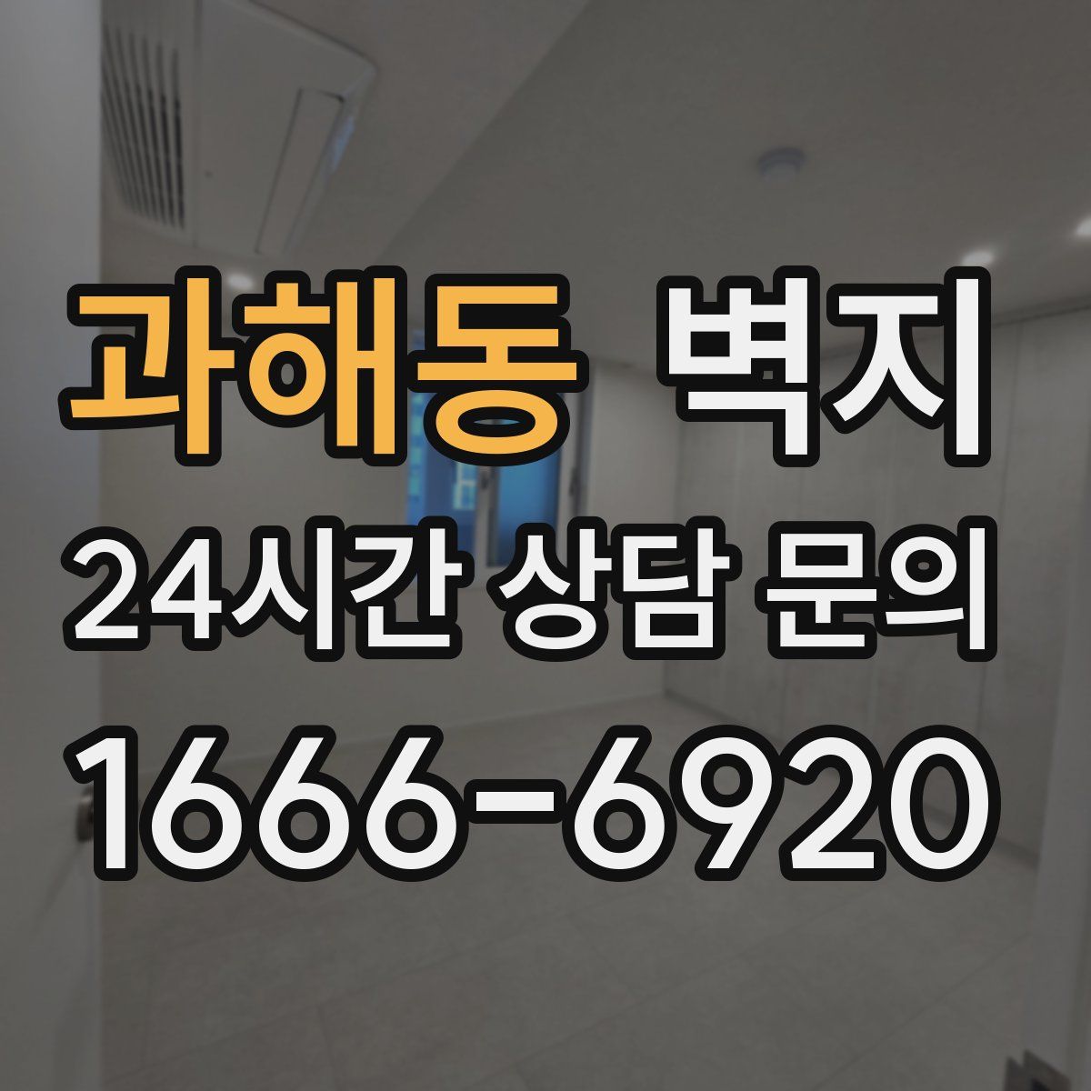 과해동 벽지