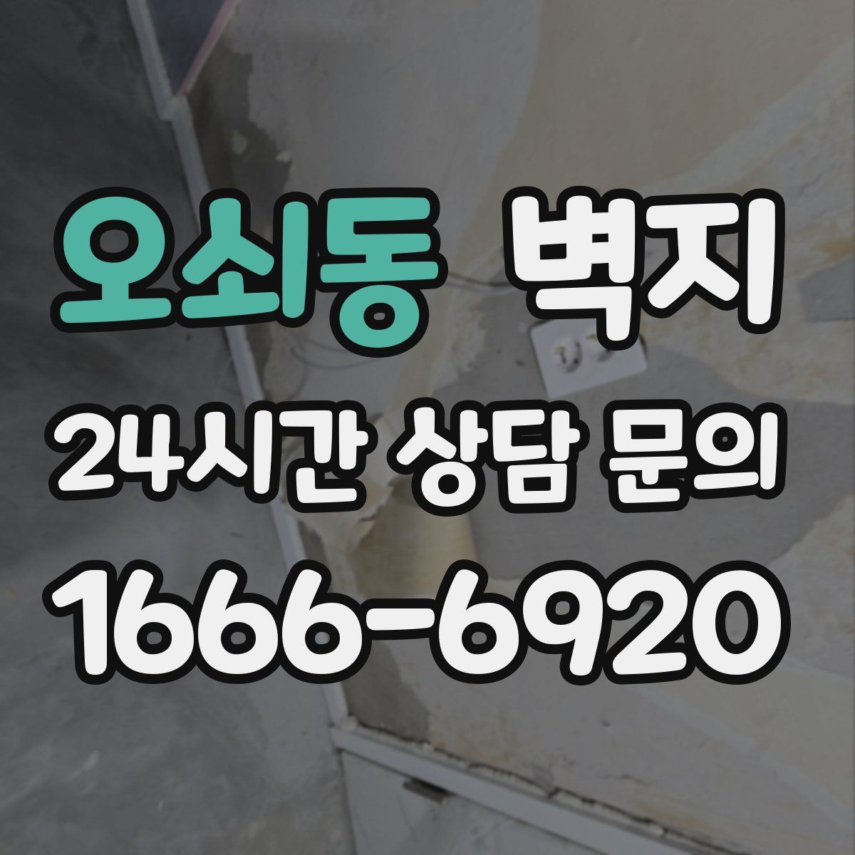 오쇠동 벽지