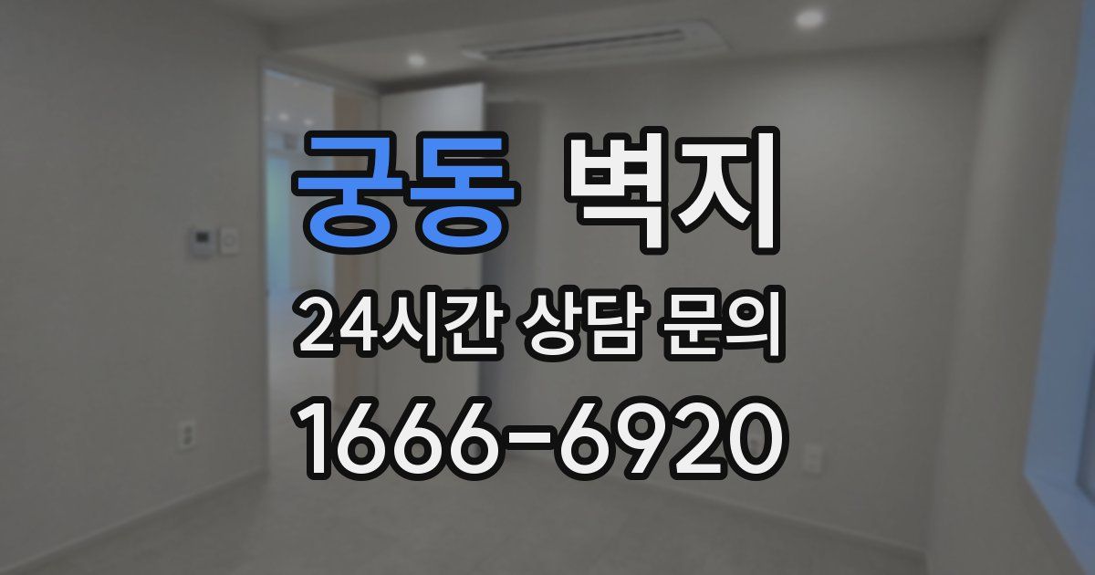 궁동 벽지