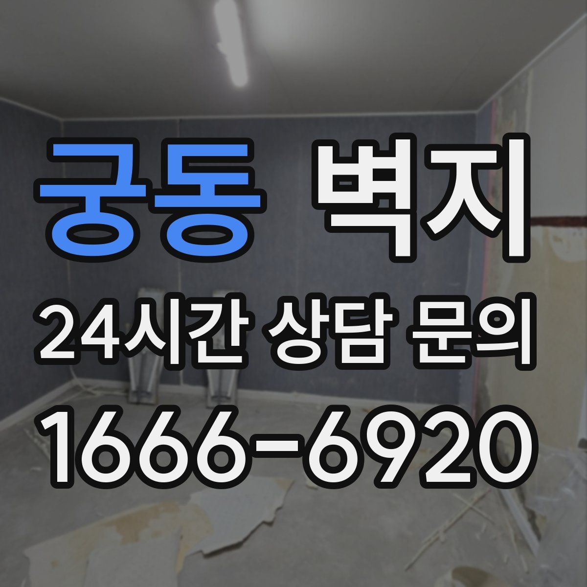 궁동 벽지