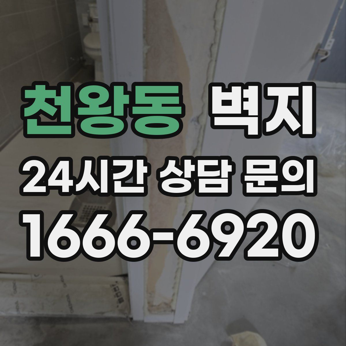 천왕동 벽지