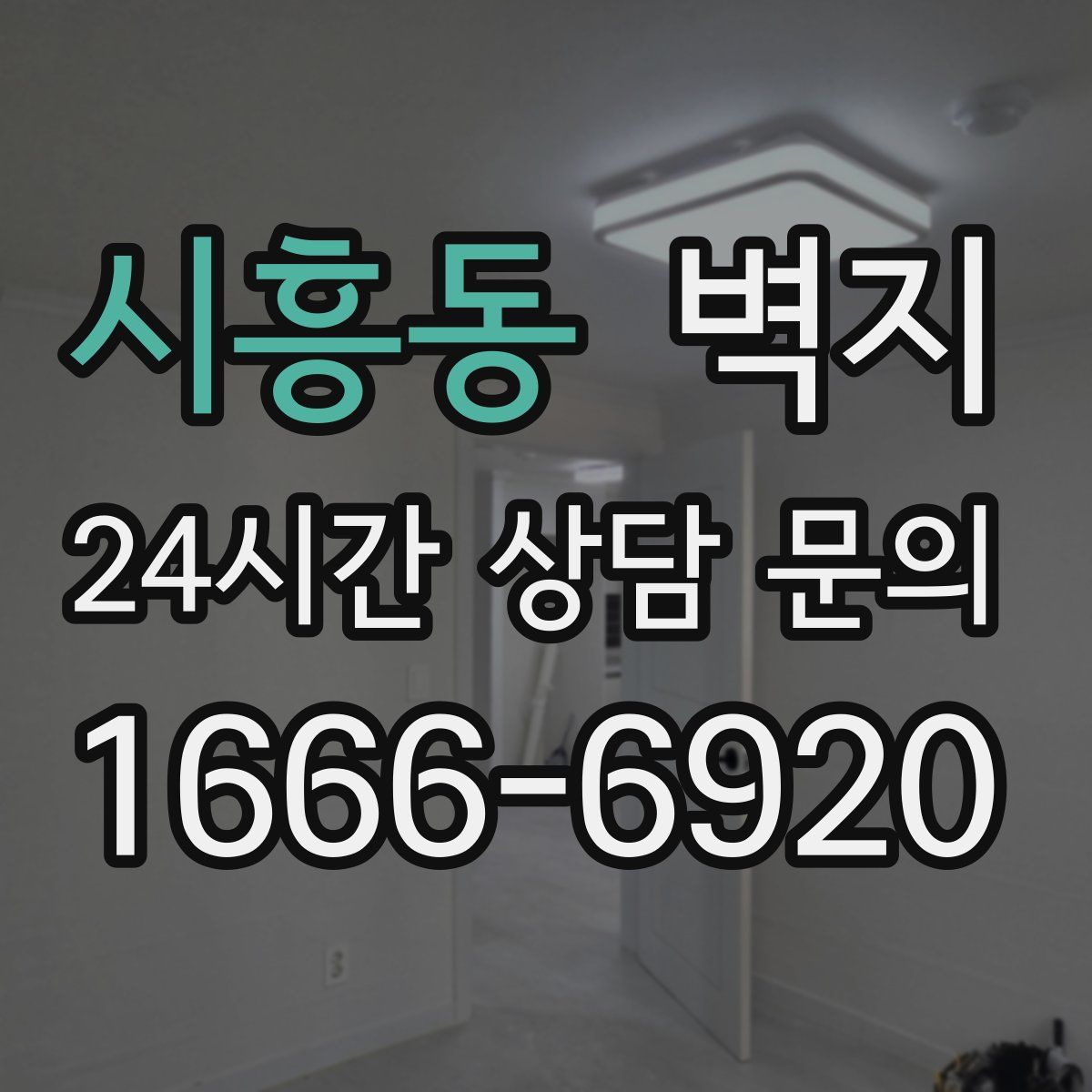 시흥동 벽지