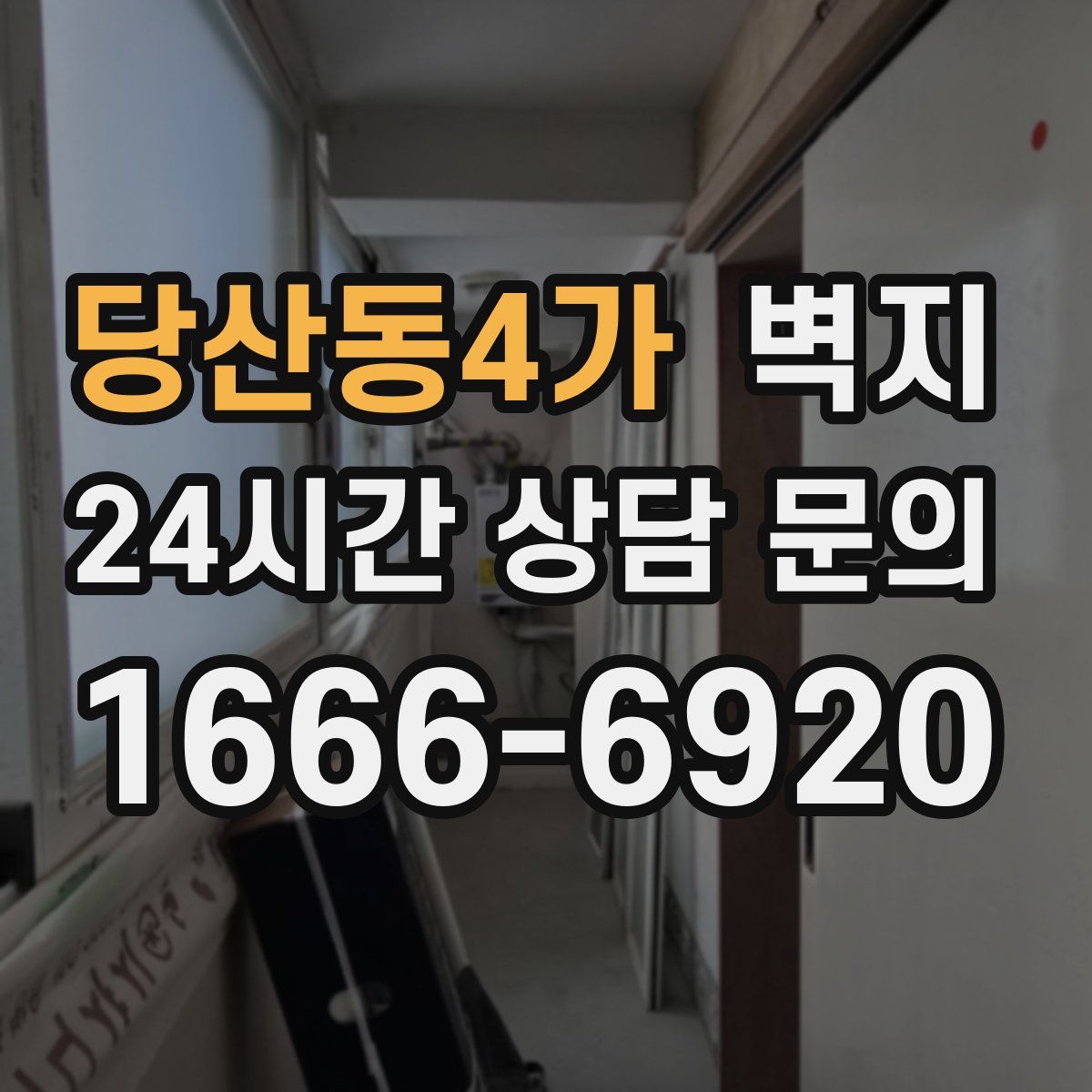 당산동4가 벽지