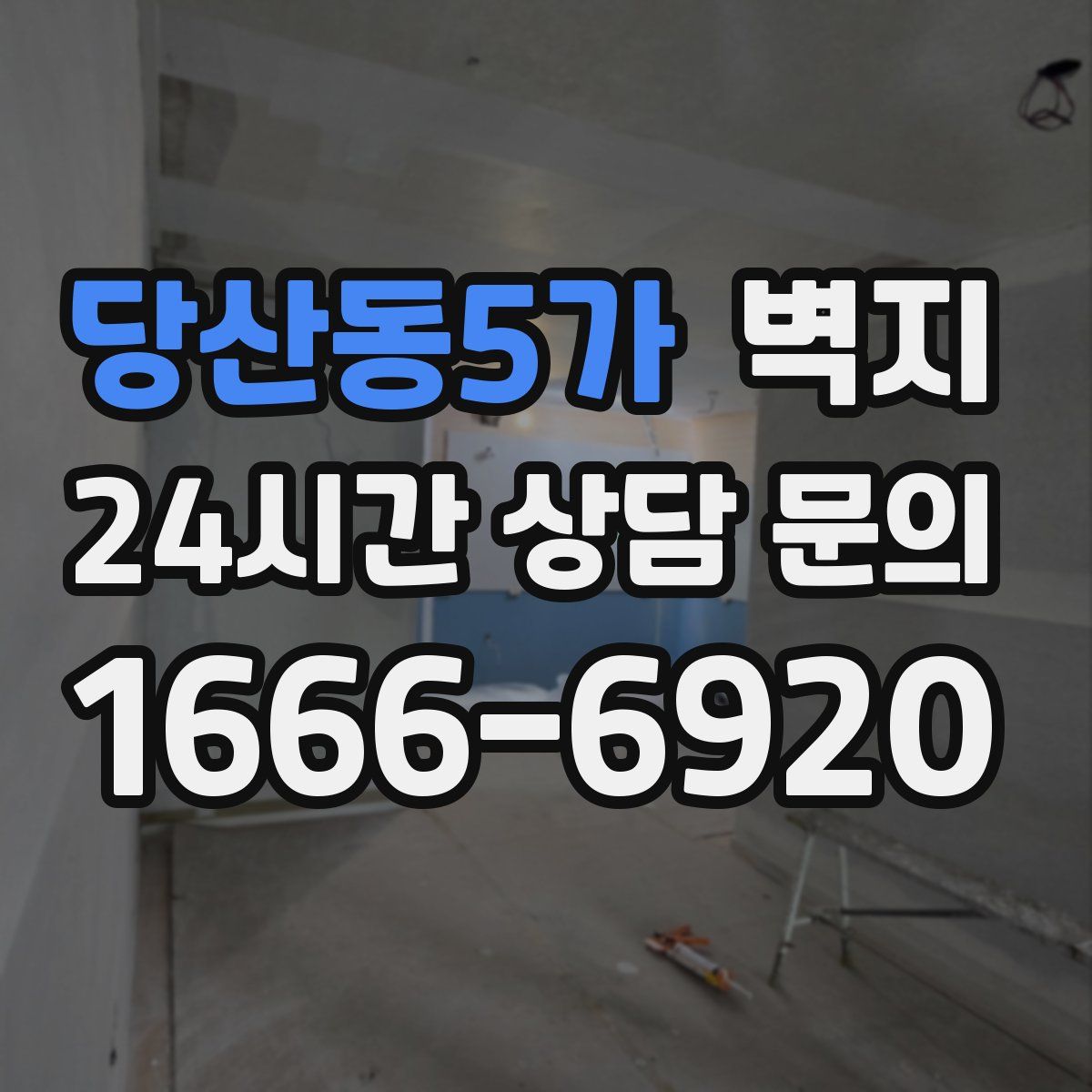당산동5가 벽지