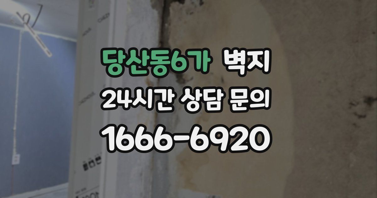 당산동6가 벽지