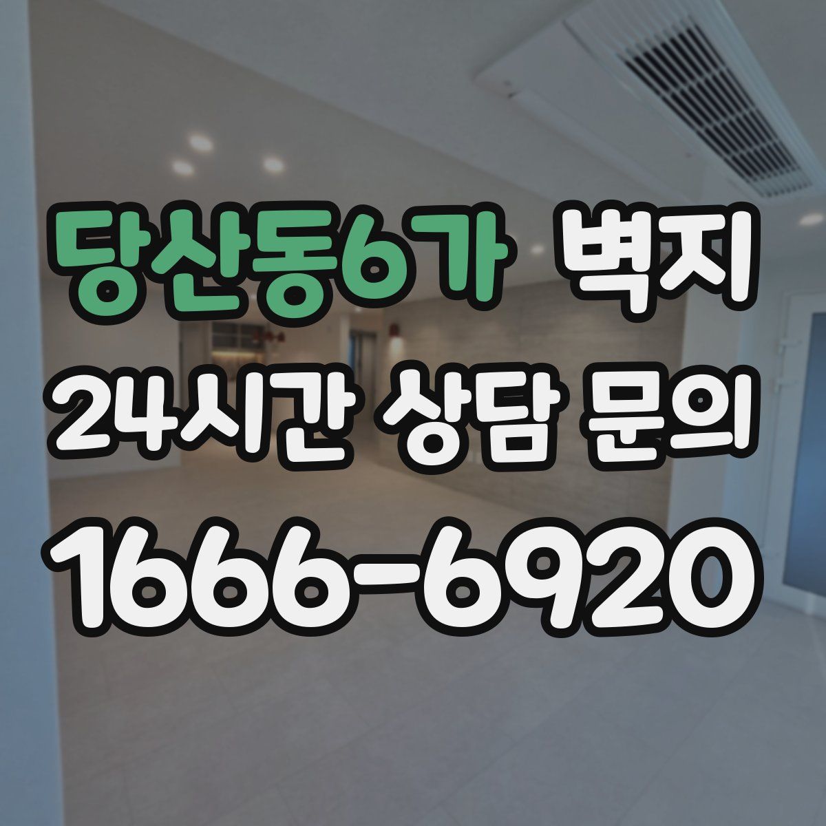 당산동6가 벽지