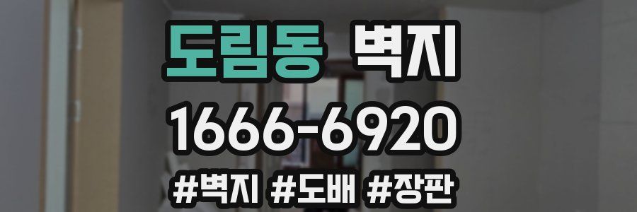 도림동 벽지