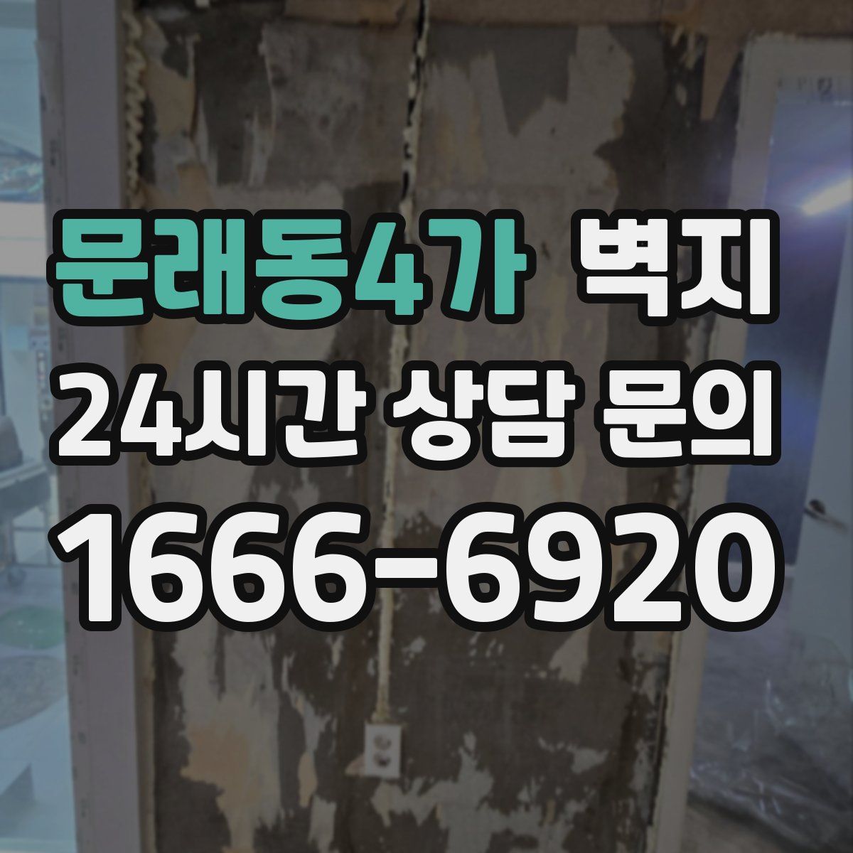 문래동4가 벽지