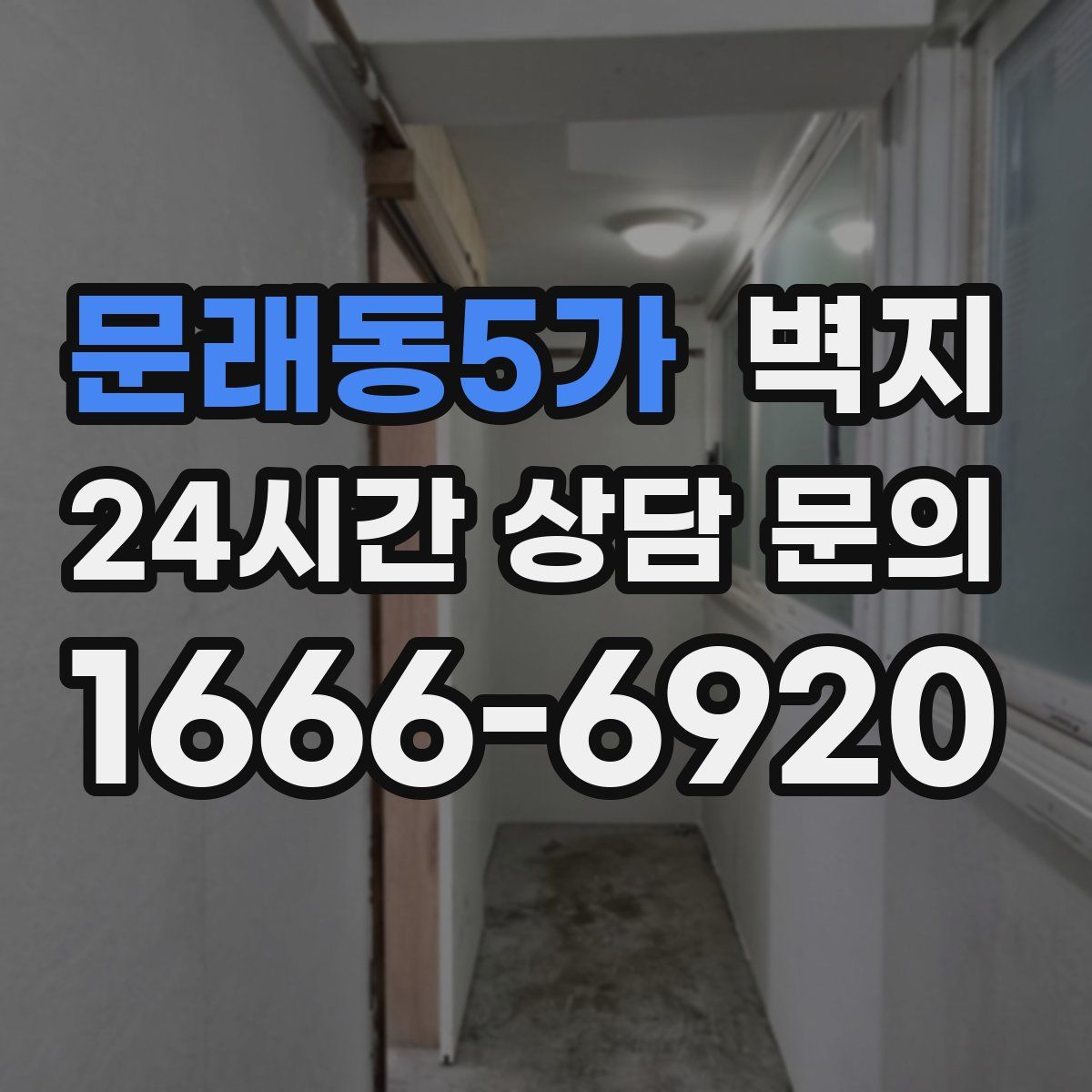 문래동5가 벽지