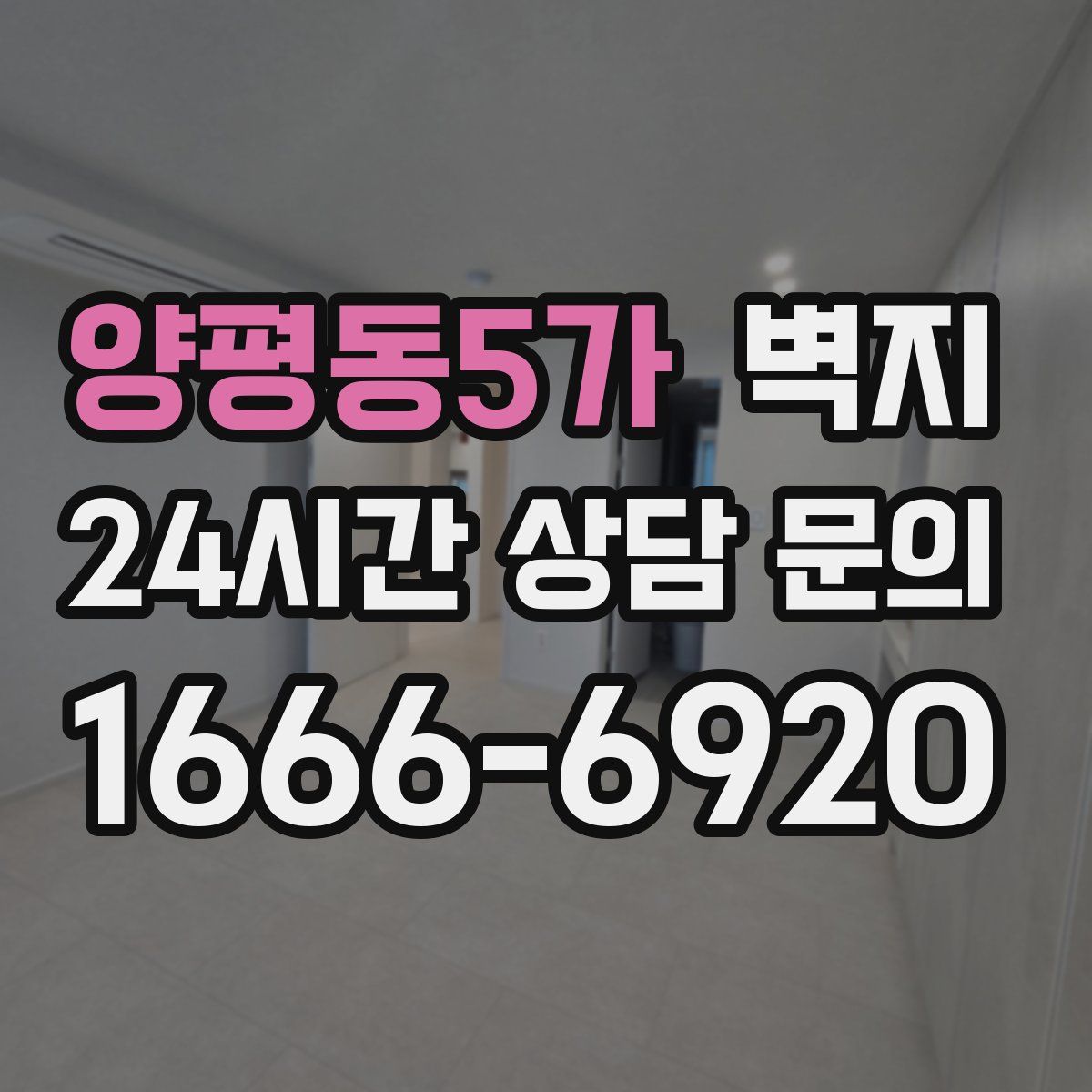 양평동5가 벽지