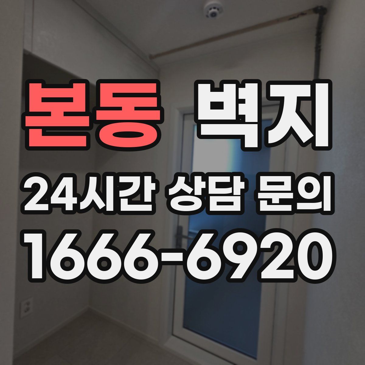 본동 벽지