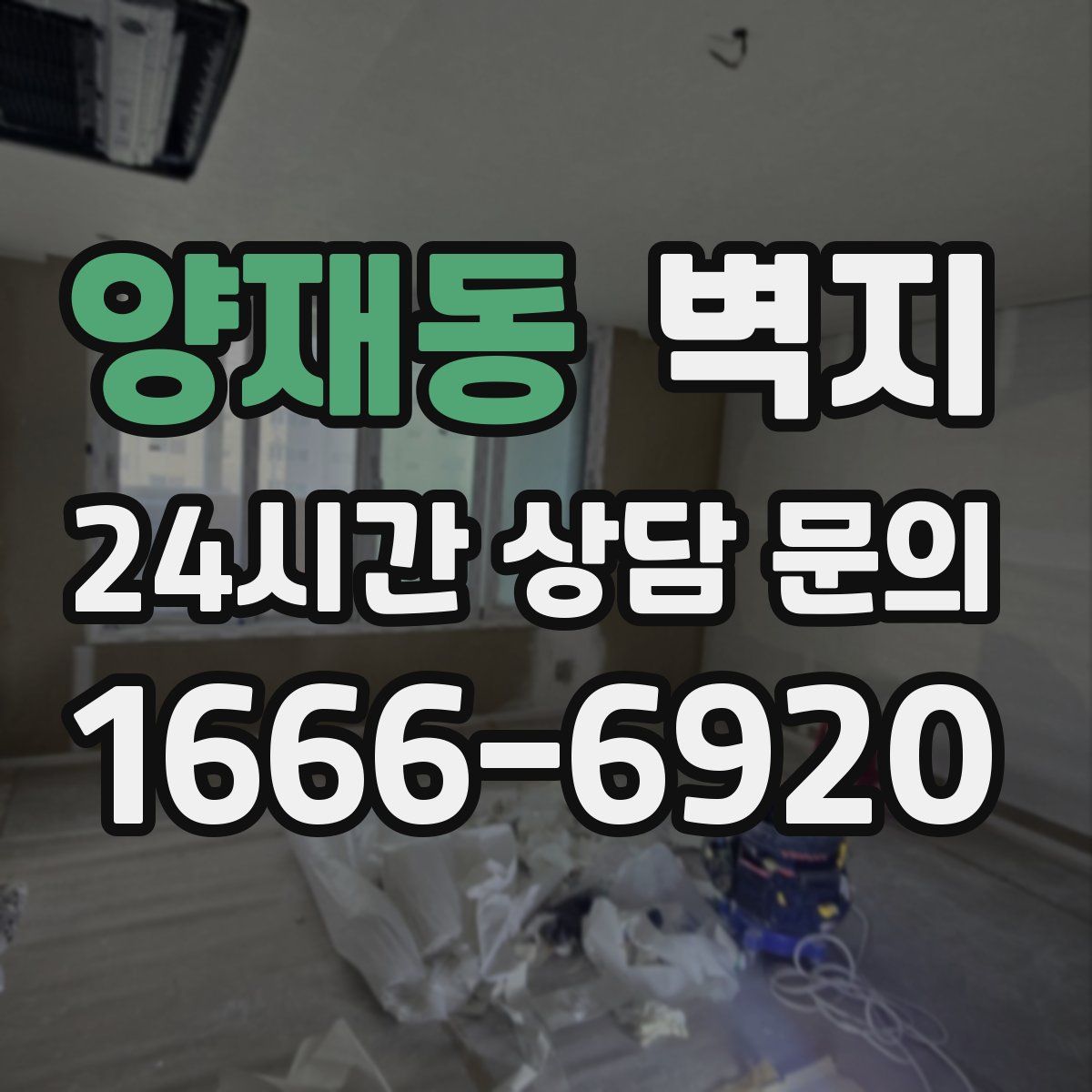 양재동 벽지