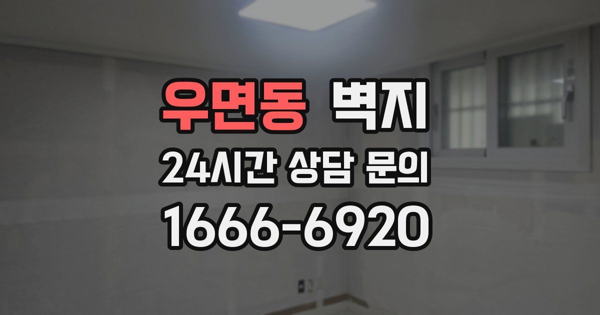 우면동 벽지