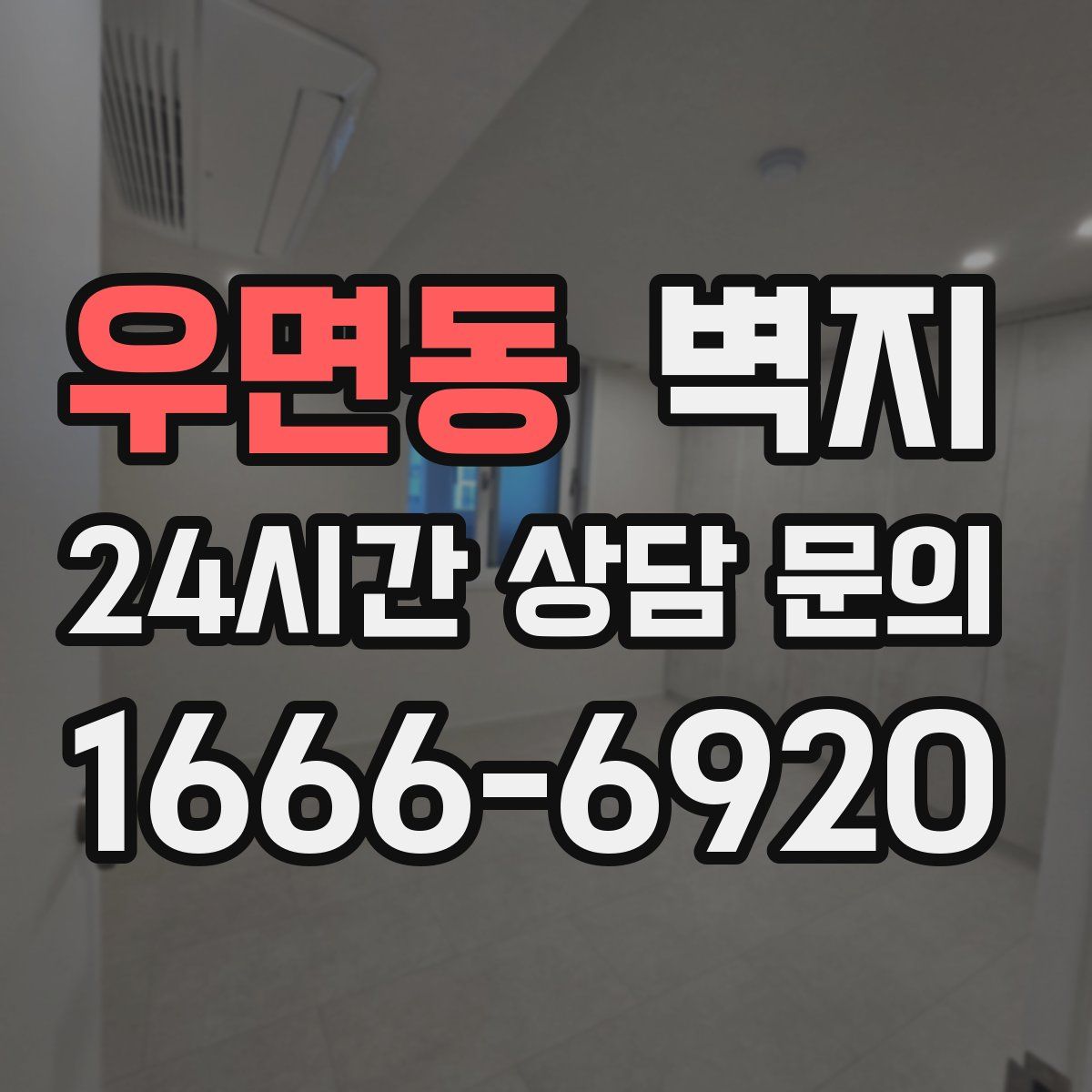 우면동 벽지