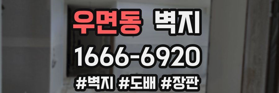 우면동 벽지