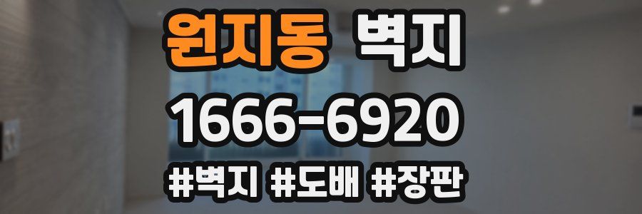 원지동 벽지