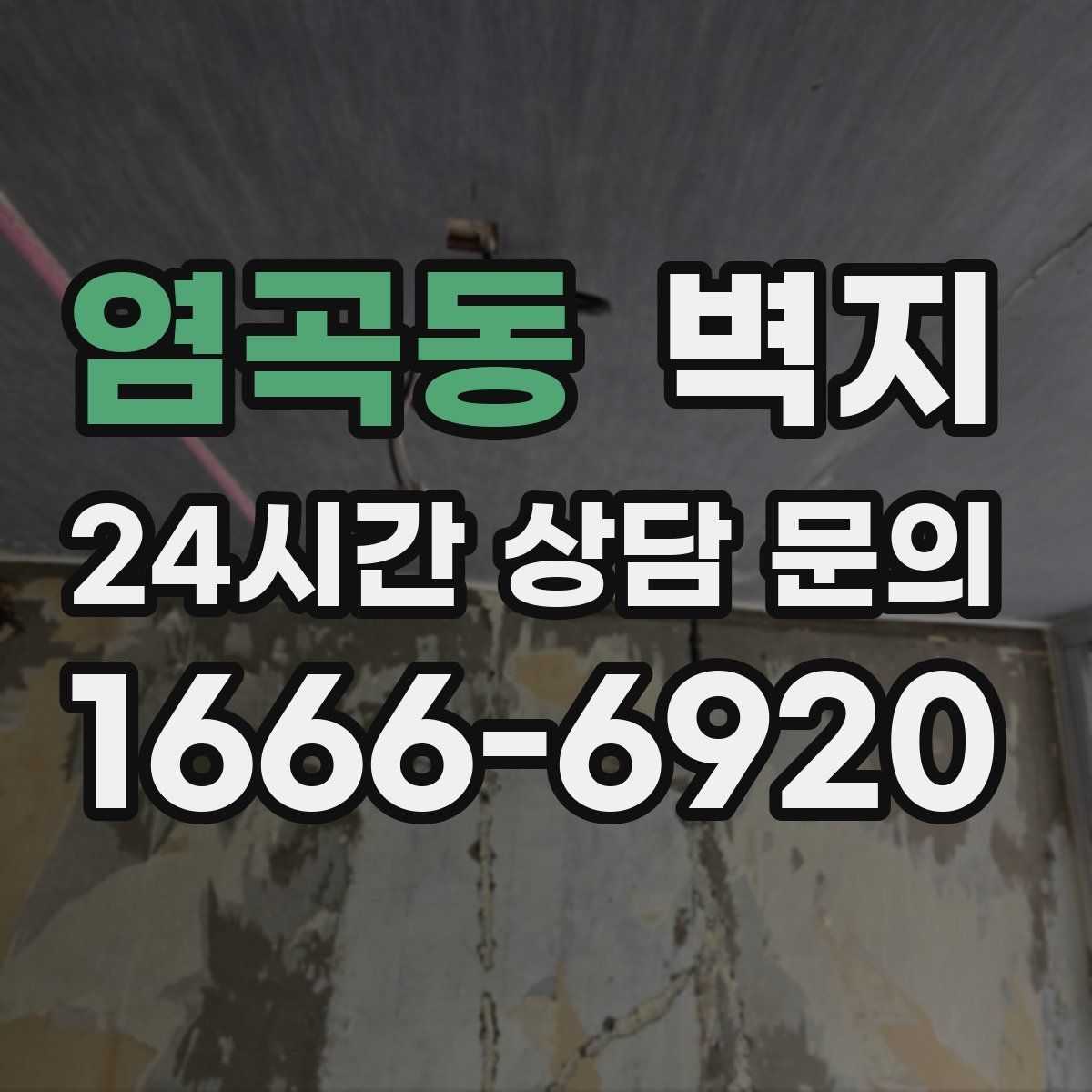 염곡동 벽지