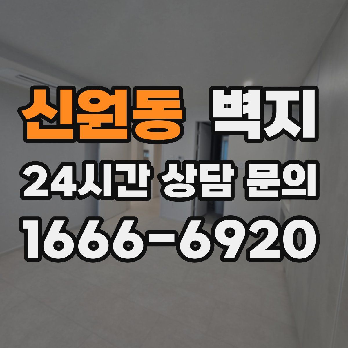 신원동 벽지