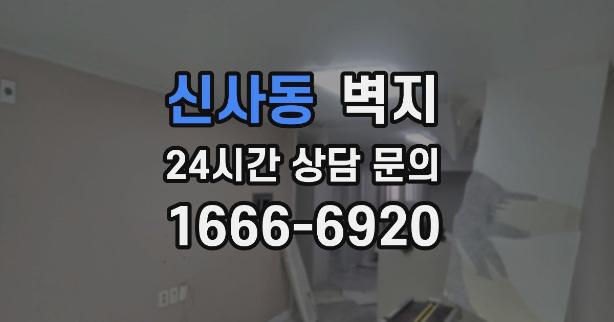 신사동 벽지
