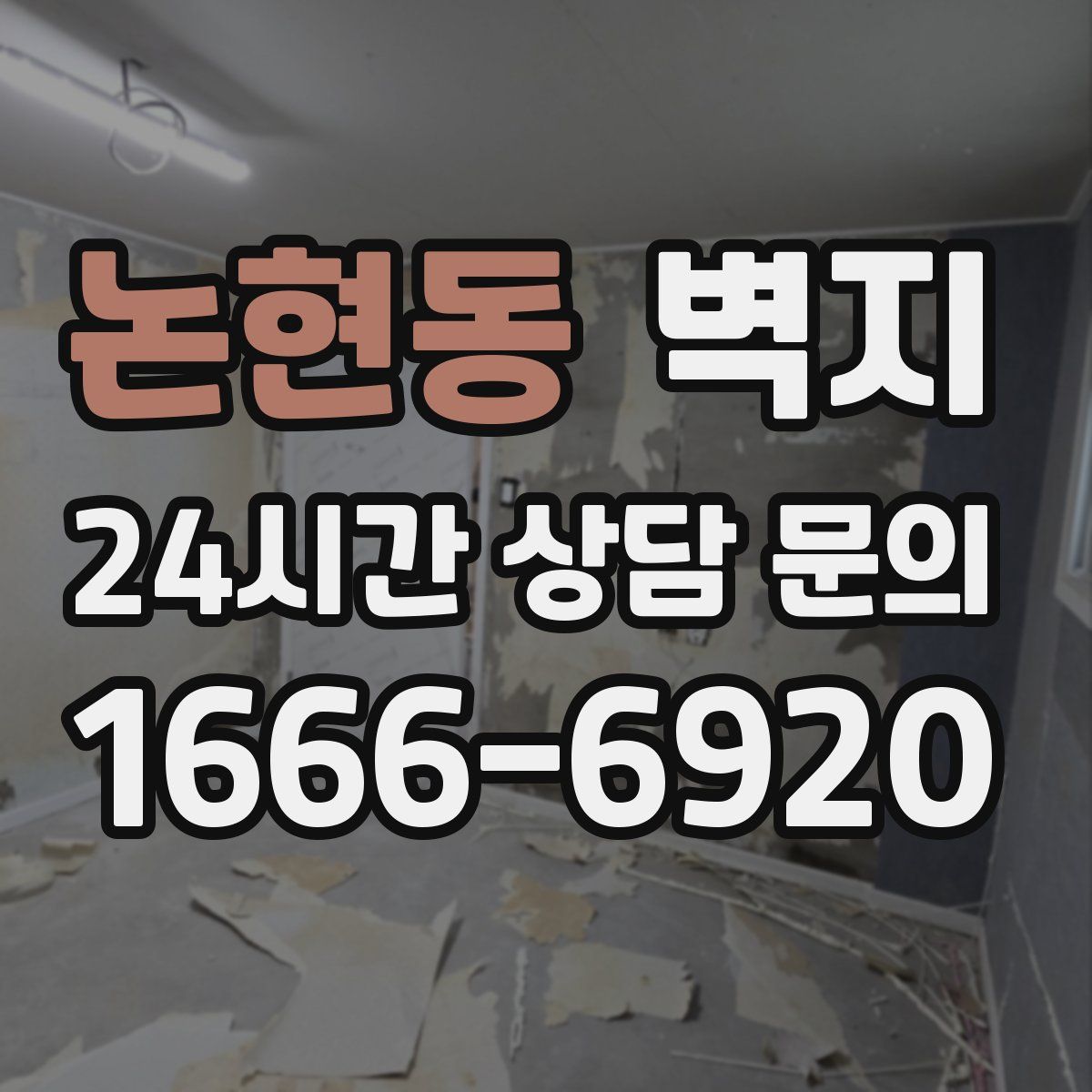 논현동 벽지