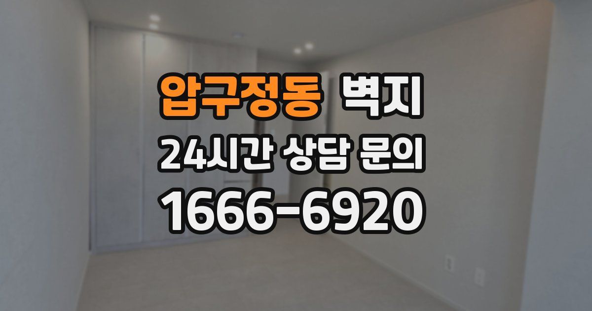 압구정동 벽지