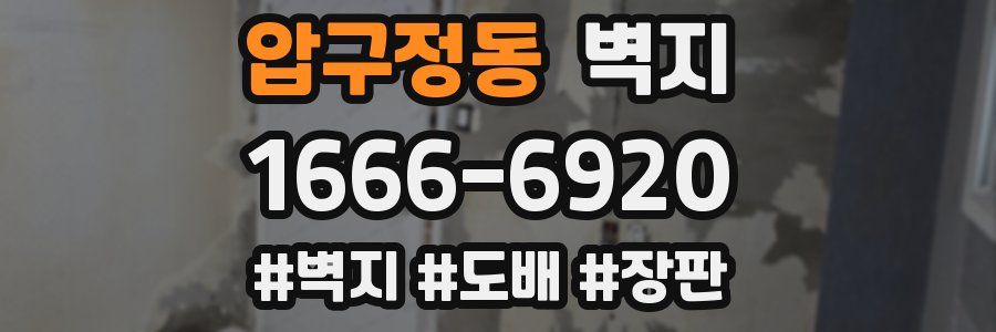 압구정동 벽지