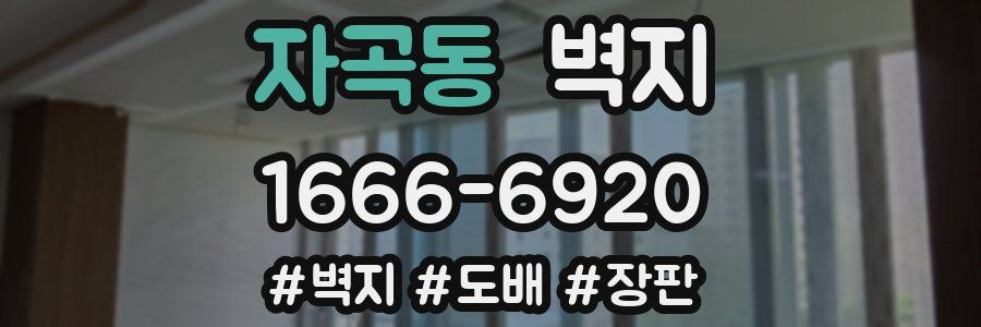 자곡동 벽지