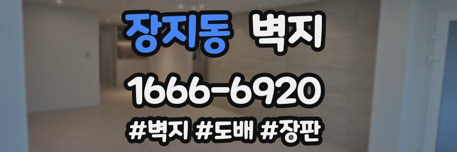장지동 벽지