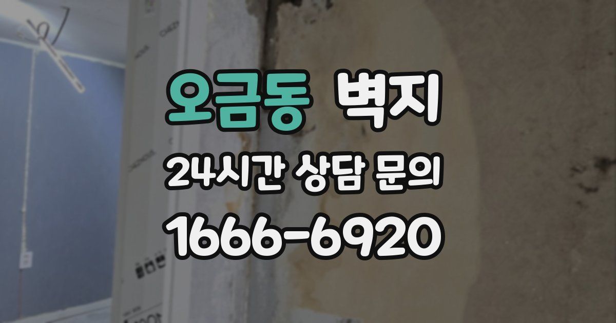 오금동 벽지