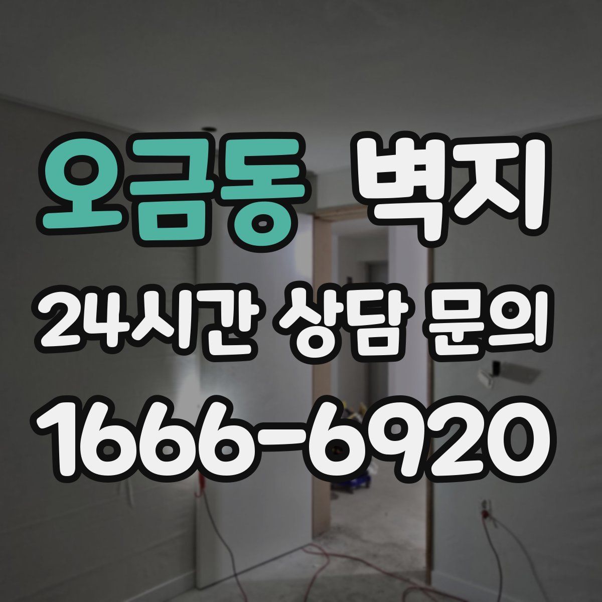오금동 벽지