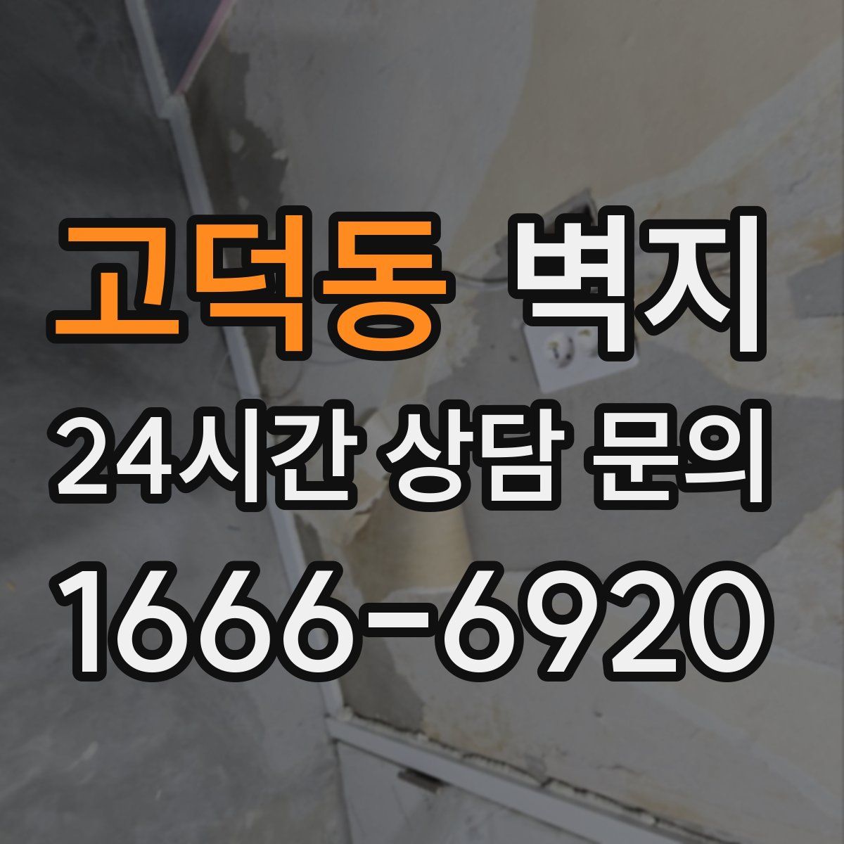 고덕동 벽지