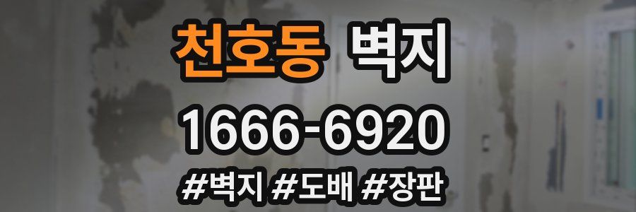 천호동 벽지