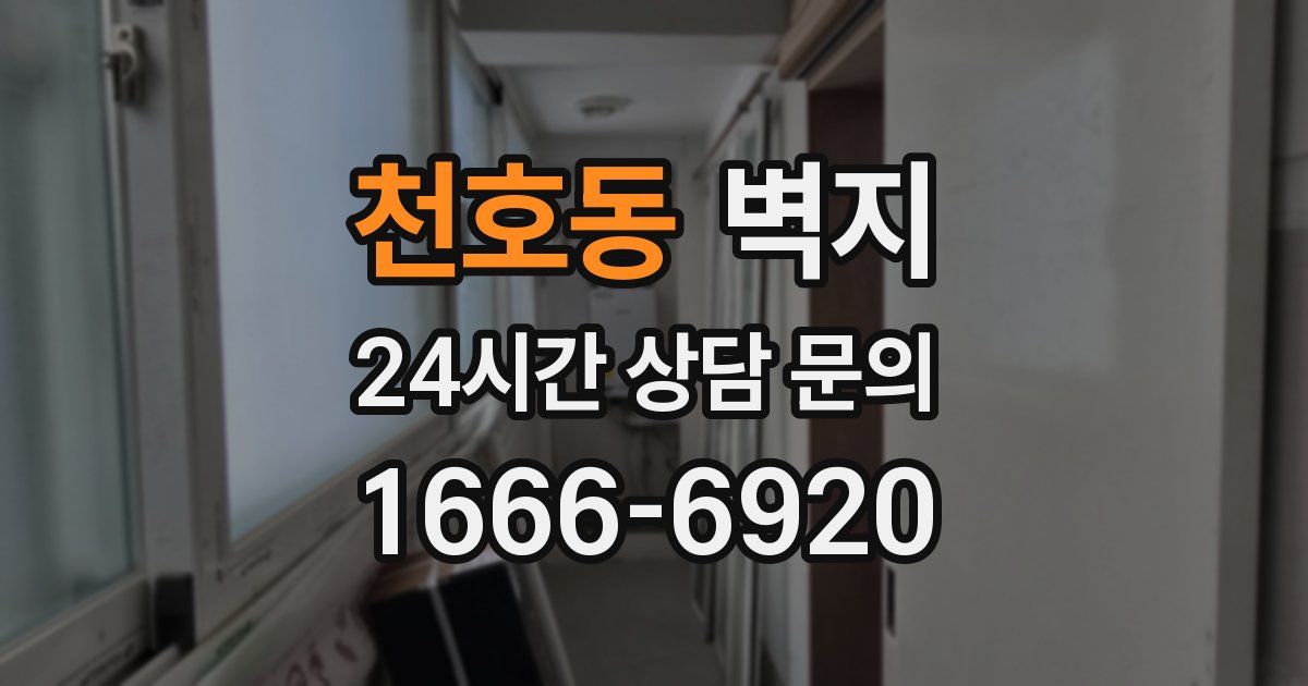 천호동 벽지
