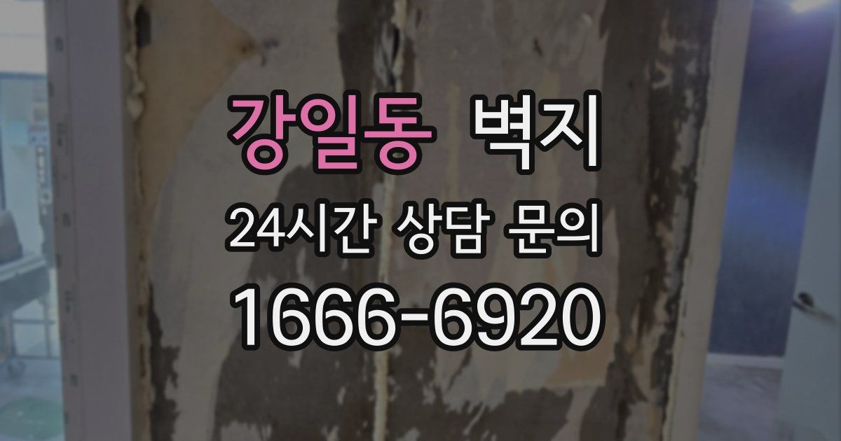 강일동 벽지