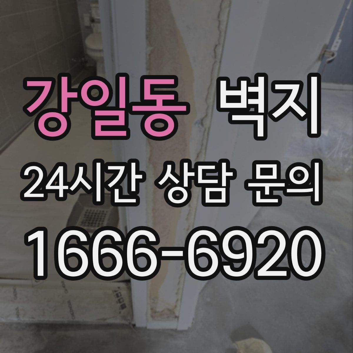 강일동 벽지