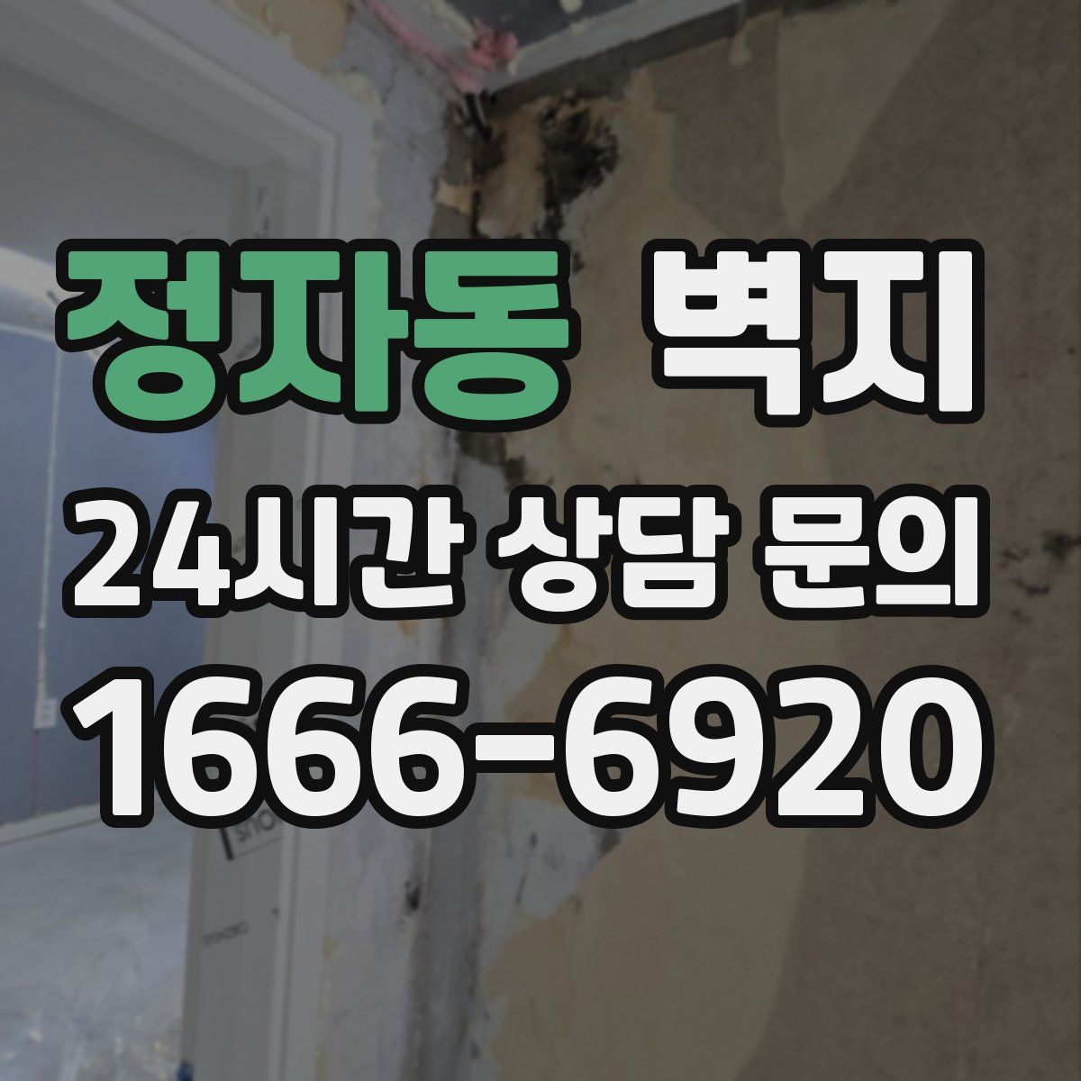 정자동 벽지